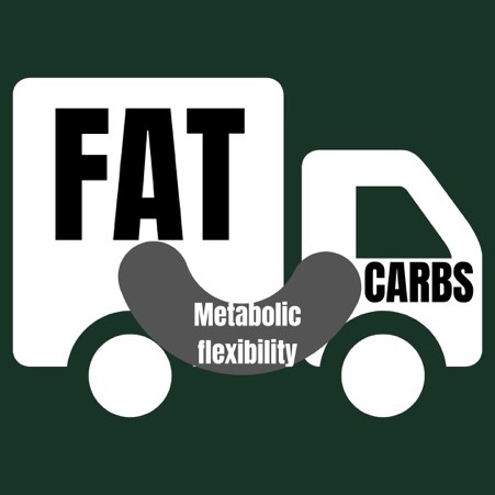 carbohidratos grasa dieta low carb