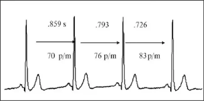 780x386xfsdfs.jpg.pagespeed.ic.MQcgNNkvn-